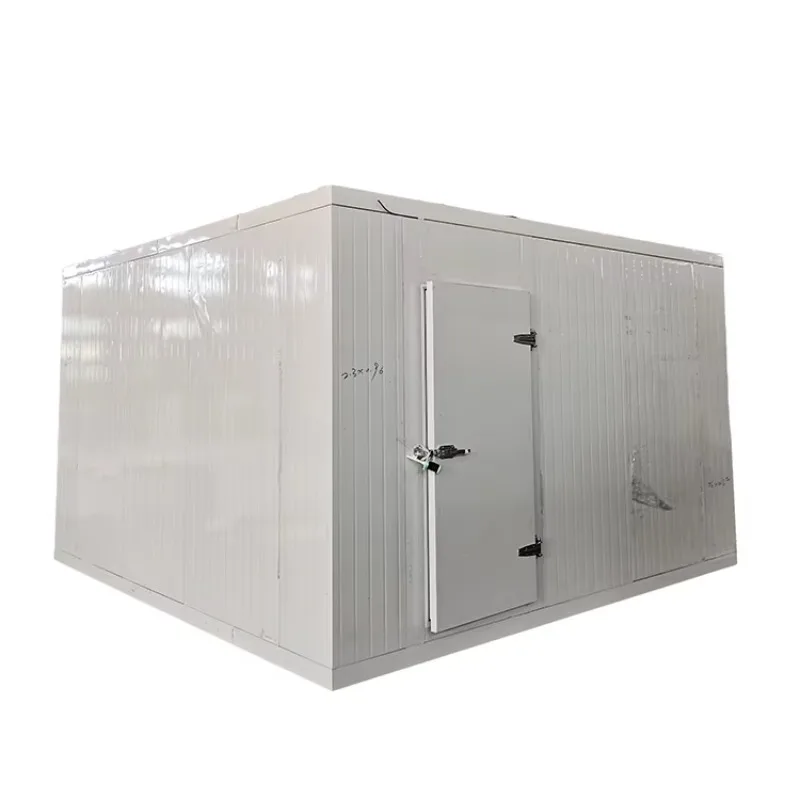 Customized Size Blaster Freezer for Meat Seafood -18'C 3m×2m×2.5m 3HP Condensing Unit 3PH 220V 60HZ