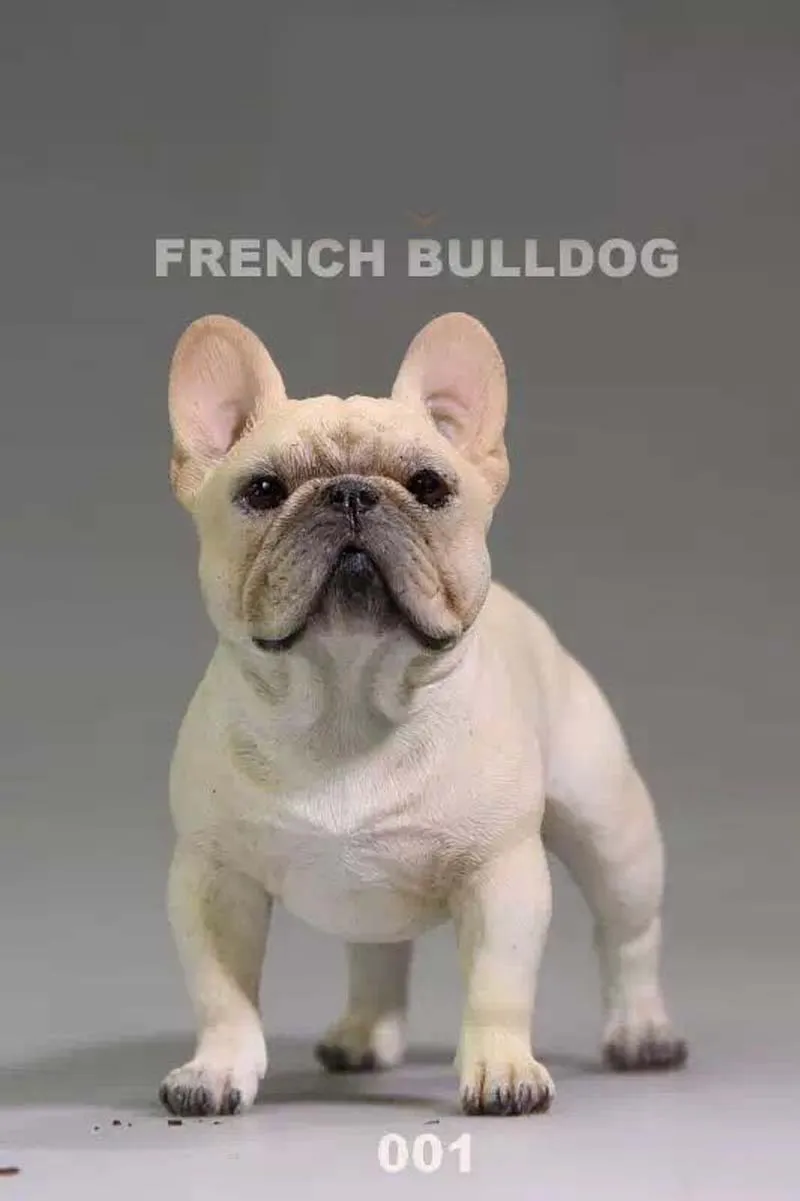 Mnotht Mr.Z Real Animal Series No.5 1/6TH Scale French Bulldog Resin Statue for 12