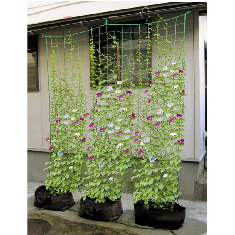Climbing Netting  Garden Strong Nylon Plant Trellis For Climbing Plants Loofah Morning Glory Flowers Cucumber Vine