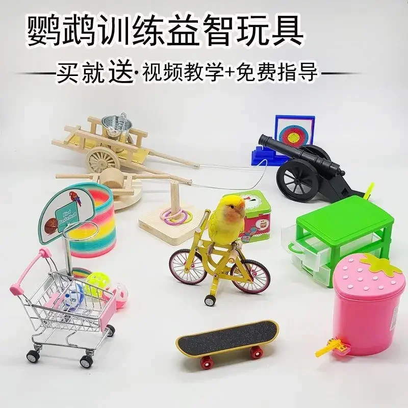 Parrot Toys Training Performance Supplies  Bird Eating Can  Basketball Hoops Tiger Skin Peony Xuan Phoenix Skills