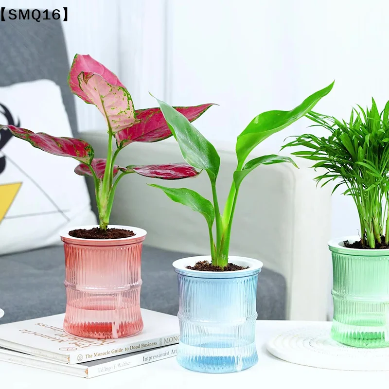 Lazy Hydroponic Flower Pot Automatic Water-Absorbing Flowerpot Transparent Double Layer Plastic Self Watering Planter【SMQ】