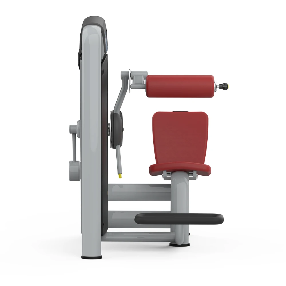 آلة اختيار القوة التجارية لتدريب الظهر السفلي المحملة بالدبوس 2025 #3