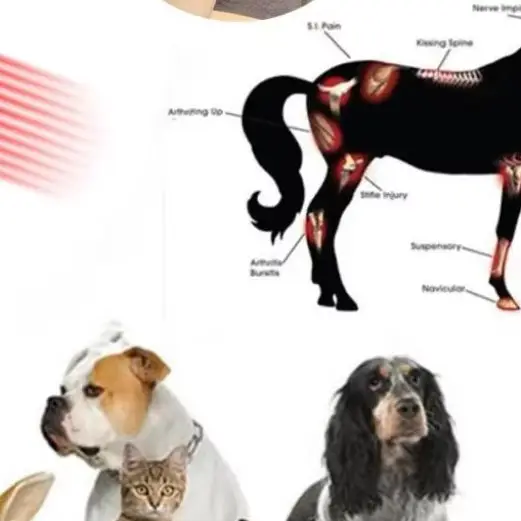 

High Power Class 4 Deep Tissue Laser Effective for Human Knee Shoulder Arthritis and Pet Dog Cat Pain, Sprain, Post-Surgery Reco