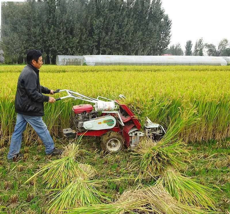 Fully Automatic Self-Propelled Diesel Multi-Function Combine Harvester and Baler for Rice and Wheat