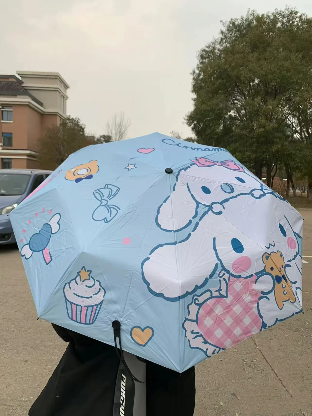 Ombrello pieghevole carino Ombrello per protezione solare Riciclaggio automatico Grande pieghevole Completamente automatico Regalo per ragazze di bell'aspetto Miglior