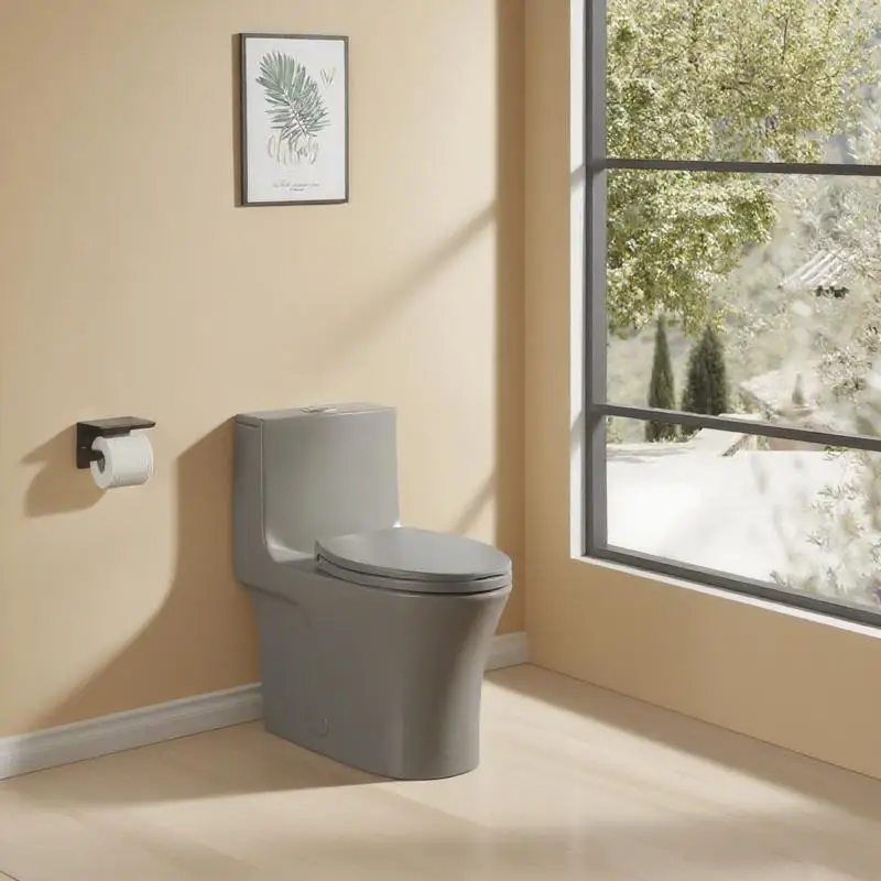 1.1/1.6 GPF Dual-Flush One Piece Toilet, Water-Saving Elongated Comfort Height, Soft Close Seat, 1000g Map Flushing Score,
