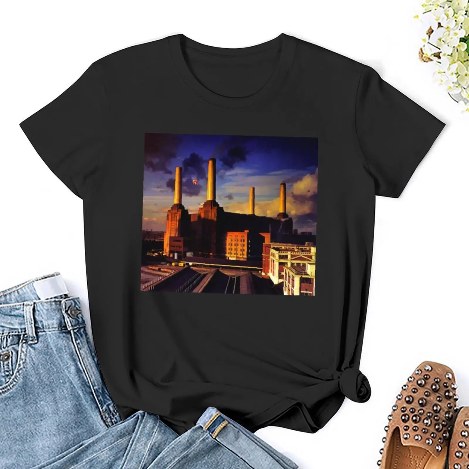 T-shirt dla zwierząt (HD) kawaii ubrania zwierząt prinfor przycięte koszulki dla kobiet