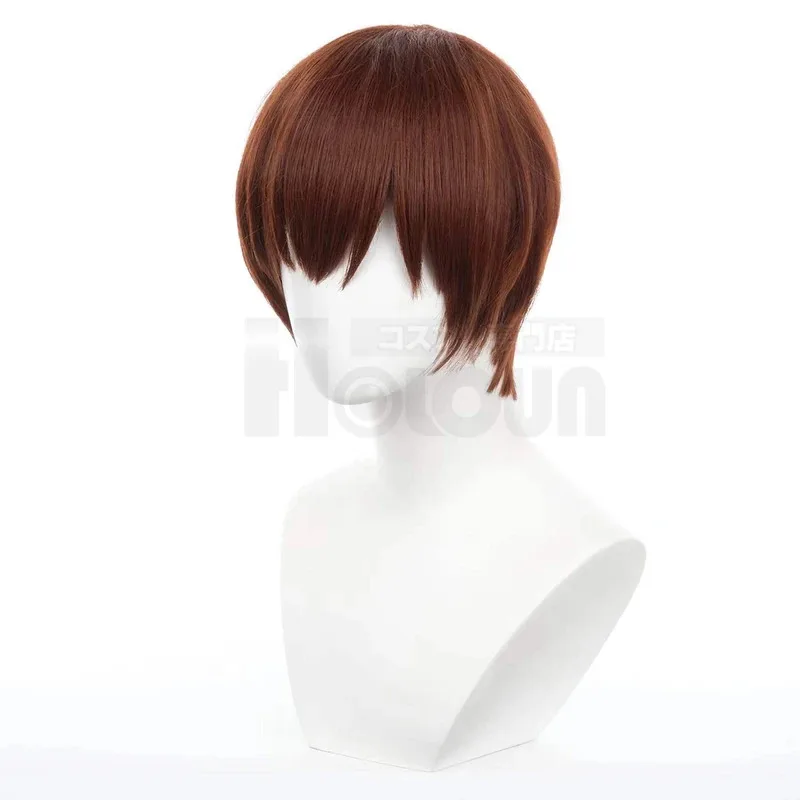 HOLOUN Delicious Dungeons Meshi Anime Chilchuck Tims Cosplay Perücke Rose Net Synthetische Faser Einstellbar Hitzebeständig Halloween