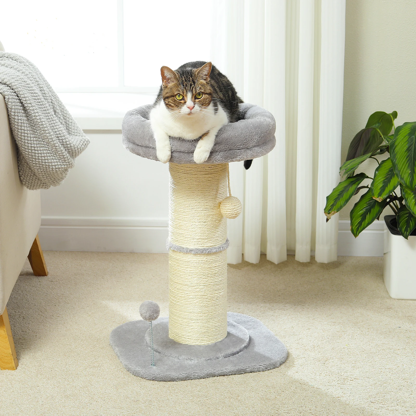 

Cat Scratching Post Small Cat Tree with Sisal Scratching Post Cat Scratcher for Indoor Cat Scratch Post with Spring Ball Cat Toy