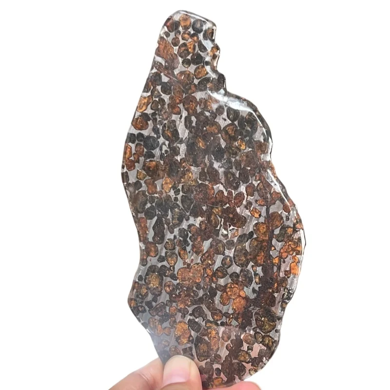 Genuine Kenya Sericho Meteorite Slice Premium Pallasite with Abundant Olivine Rare Space Stone for Enthusiasts QA857