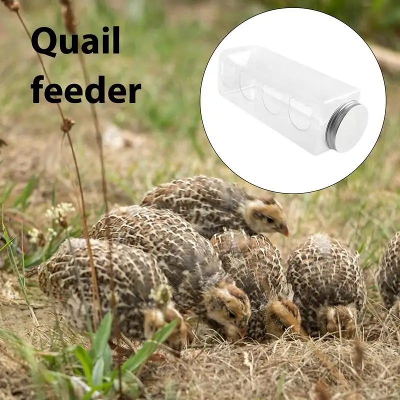 Quail Feeders No Waste 4 Ports No Mess Chicken Feeder For Brooder Portable Parrot Feeder Cage Accessories For Quail Birds