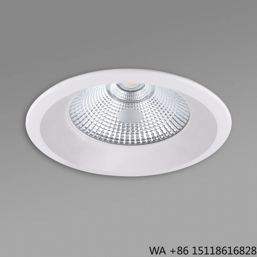 Custom 20W 30W 40W Commercial 3CCT LED Smart Downlight