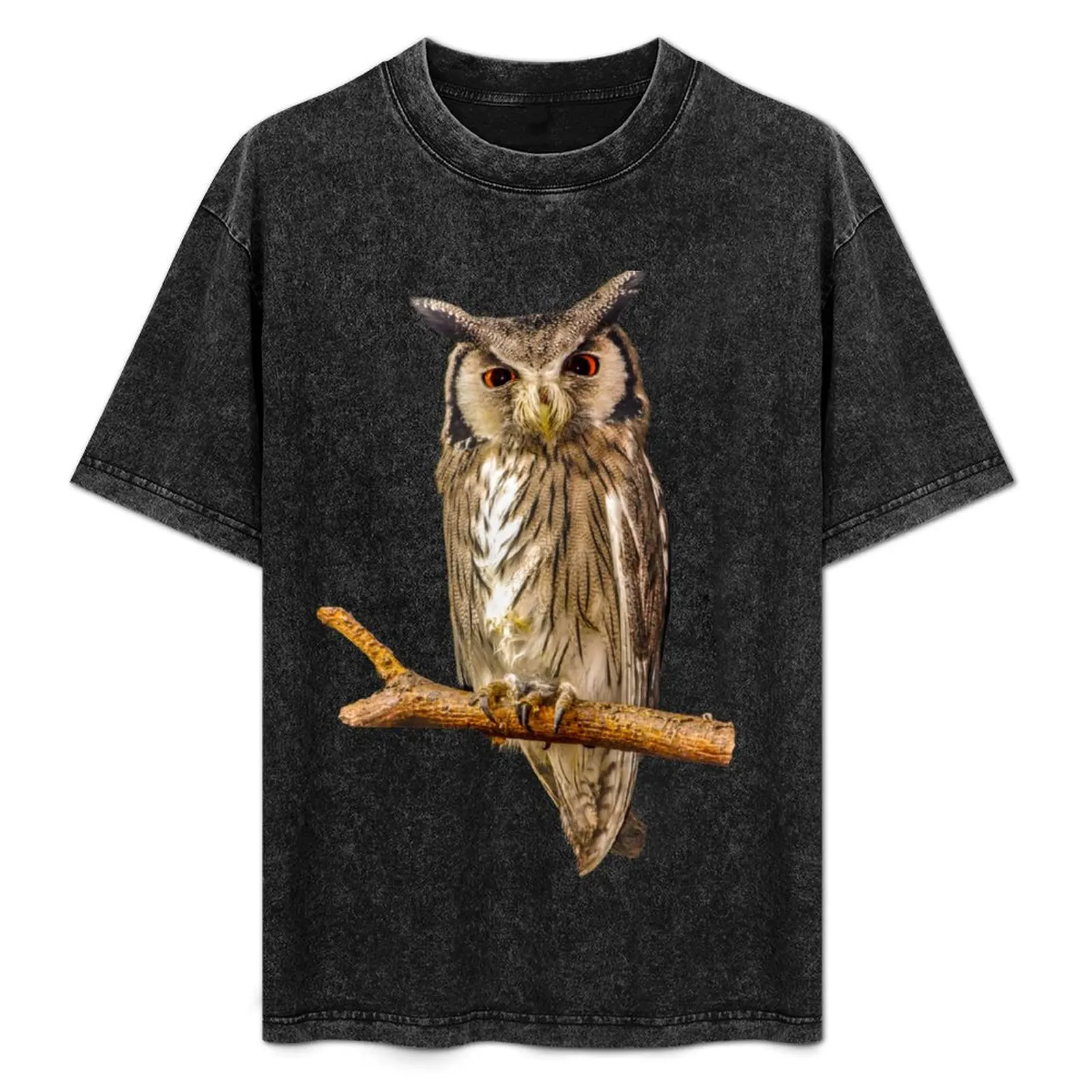

Southern white-faced scops owl T-Shirt Thanksgiving Casual Tee
