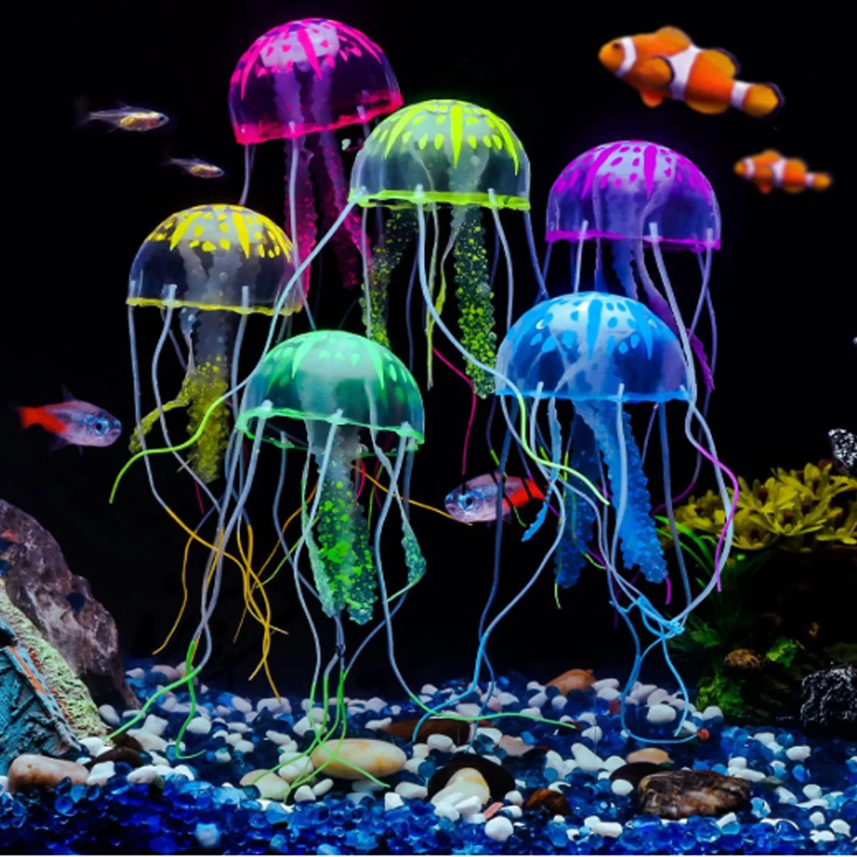 3 decorazioni luminose per acq - Aquarium Fish Discus recensione e prezzo