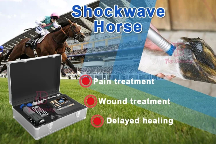 Professional Shockwave Therapy Pain Relief Heel Rehabilitation In Horse Medical Shock Wave Equipments