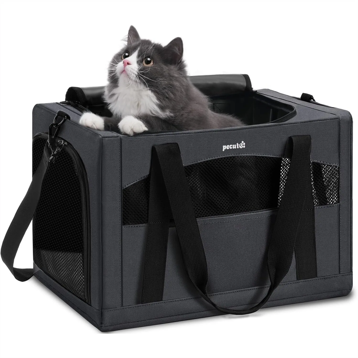 

Cat Carrier for Car Travel, Soft-Sided Pet Carrier with Anxiety Relief Partition & Steel Frame, Safe Travel Bag for Cats Up to