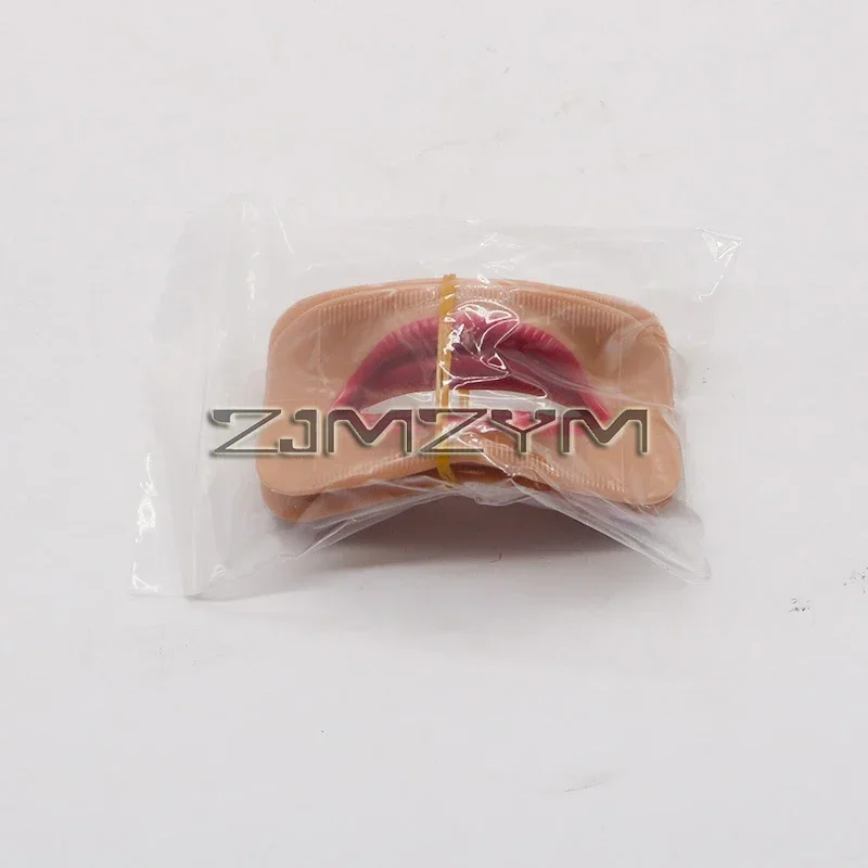 مختبر تجميل الأسنان ، فحص الشفاه ، ترتيب الأسنان ، تأثير الوهم الداخلي ، شكل فم مختلف ، 4 *