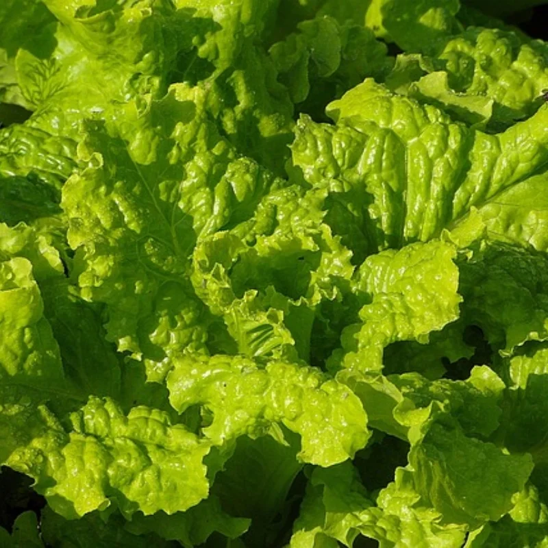 

Комплект обновленных металлических деталей для Wltoys A959 A979 A959B A979B 1/18 Радиоуправляемые автомобильные детали