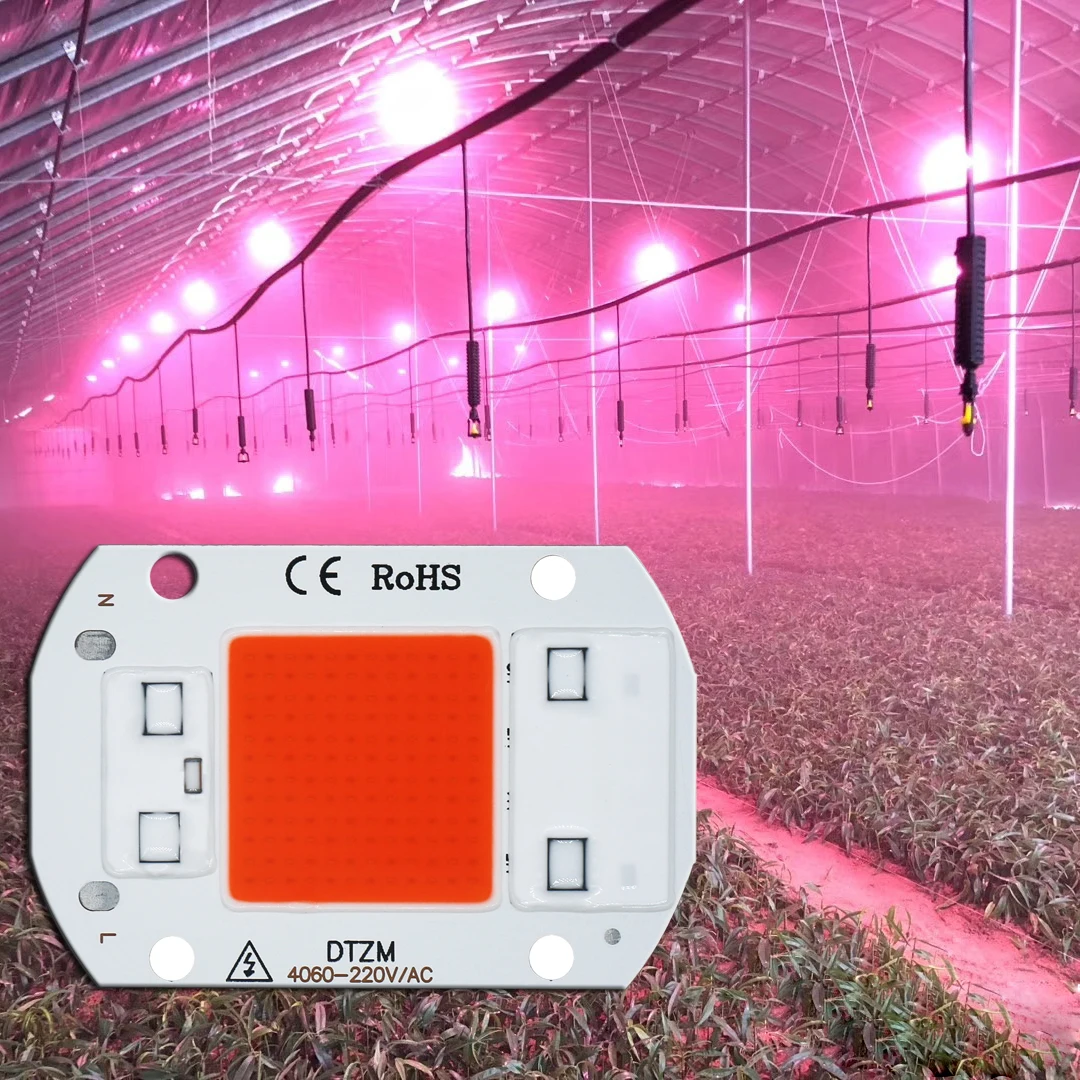 LED Grow COB Licht Chip Volledige Spectrum AC220V 5W10W 20W 30W 50W Geen driver nodig Voor Groei Bloem Zaailing Groeien Plant Verlichting