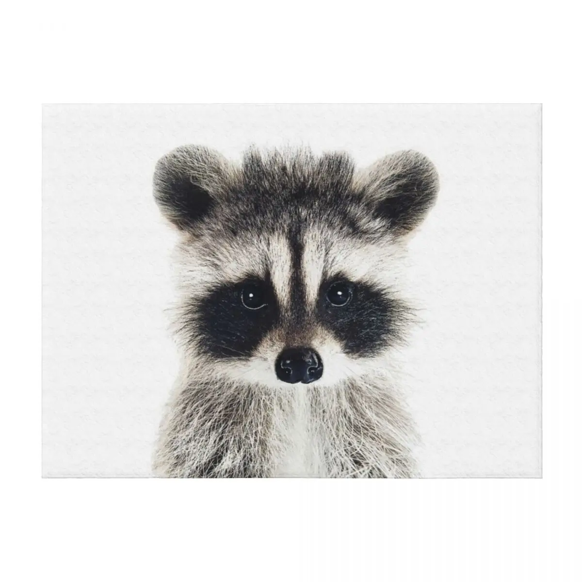 

Baby Raccoon Portrait Throw Blanket sofa bed Cute Fashion Sofas Hair Blankets