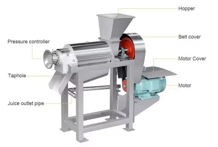 Pulper Finisher Fruit Seed Extraction Machine Destoning and Separation