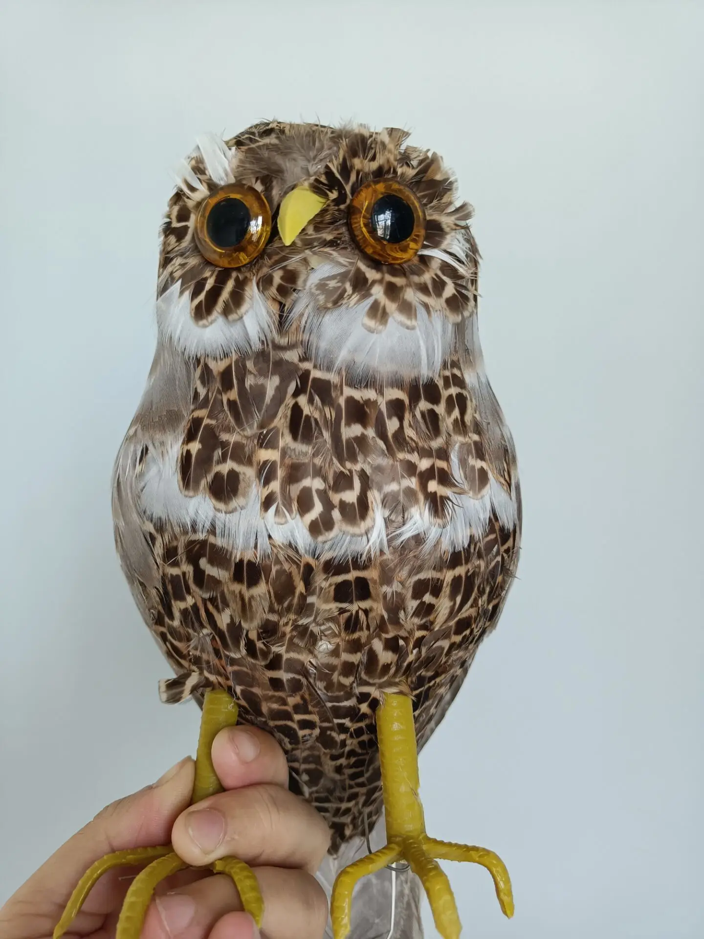 

about 25cm night owl toy model,polyethylene&furs handicraft Figurines garden decoration toy gift