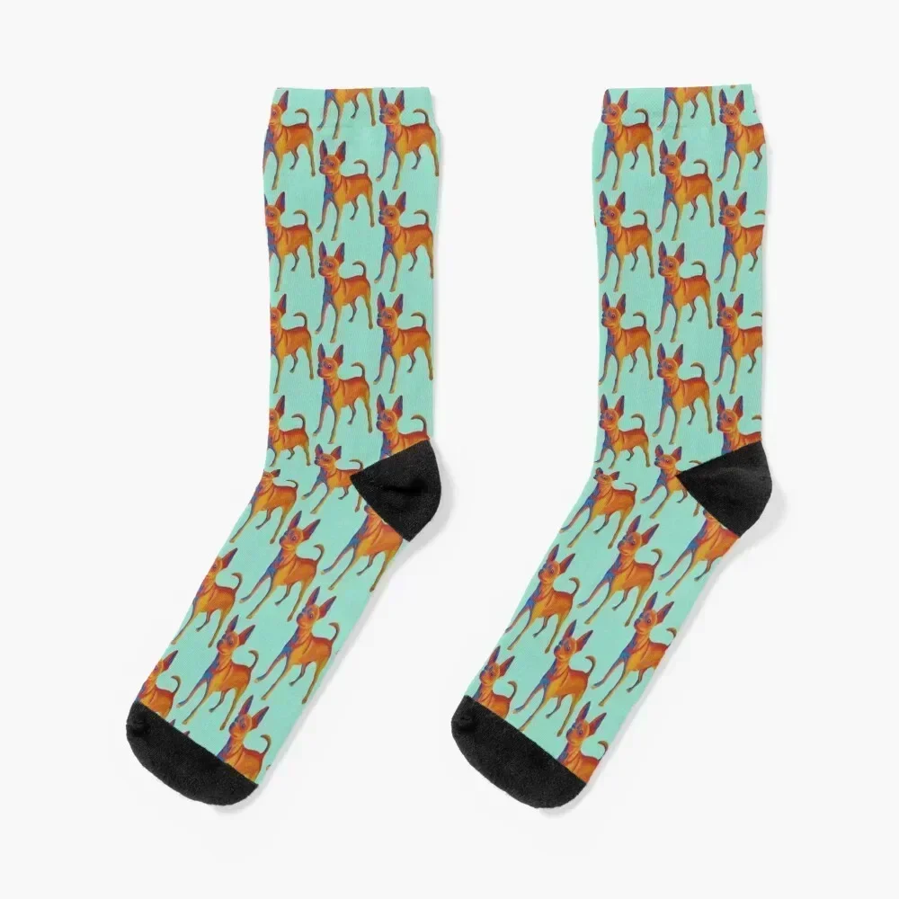 

Mojo the Infrared Chihuahua Socks Toe sports valentine gift ideas christmas gifts Heating sock Socks Female Men's