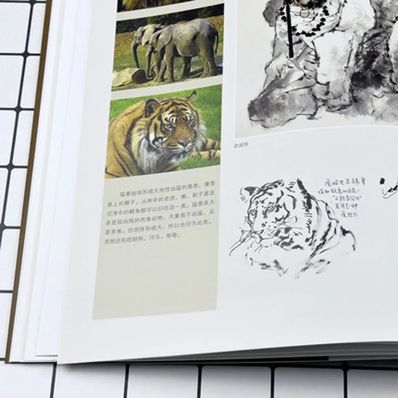 Libro de Arte de línea de dibujo de pintura china tradicional, Gong, Bi, ganado, Tigre y caballo