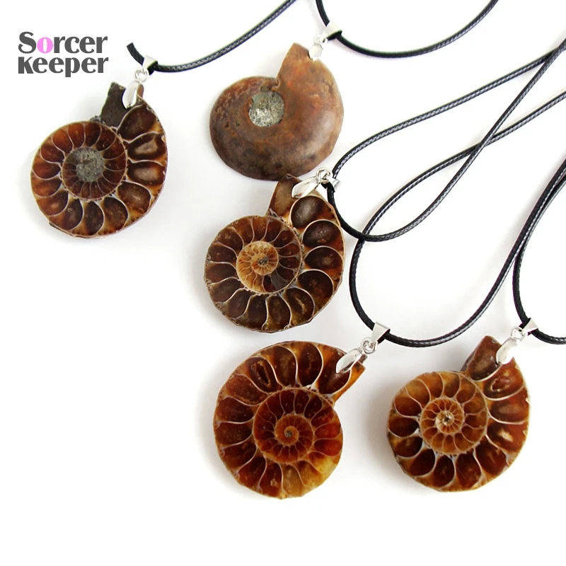 Natural Ammonite Snail Shell Healing Stone Pendants Ocean Reliquiae Conch Animal Statement Necklaces Fit Jewelry Making KS257