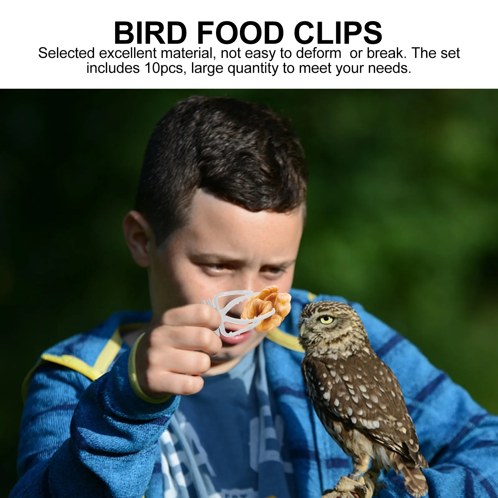 

10pcs Vegetable For Parrots Cage Food Clamp Pet Parrot Fruits Veggies Holder Bird Feeding Clip Fruit Holder Bird Cage