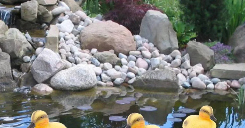 5 Pack Floating Duck Fish Pond Ornament Plastic Ducklings Decoy Mallard Realistic Duck Decoy for Garden Yard Lawn Decor