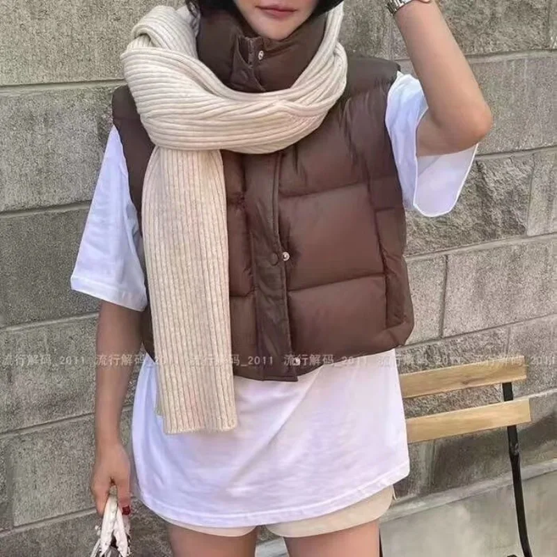 เสื้อแจ็คเก็ตคอตั้งสไตล์เกาหลีเก๋ไก๋สำหรับฤดูหนาว กระดุมแถวเดียว ทรงหลวม ใส่ได้หลายโอกาส เสื้อกั๊กหนาและสั้น เสื้อผ้าผู้หญิง