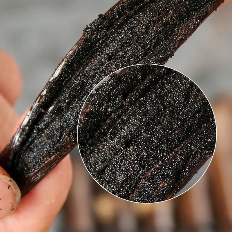 

10/20pcs Premium 14-15cm Madagascar Vanilla Bean Pods For Extract, Aroma Craft, DIY Sachets & Home Fragrance