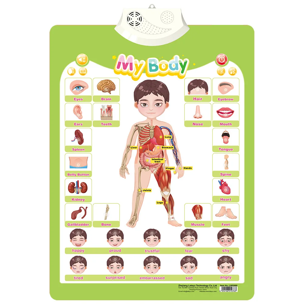 

My Body PVC Kid Cognitive ABC Wall Chart Educational Audio Talking Poster Baby Alphabet Vehicle Fruit Anatomy Early Learning