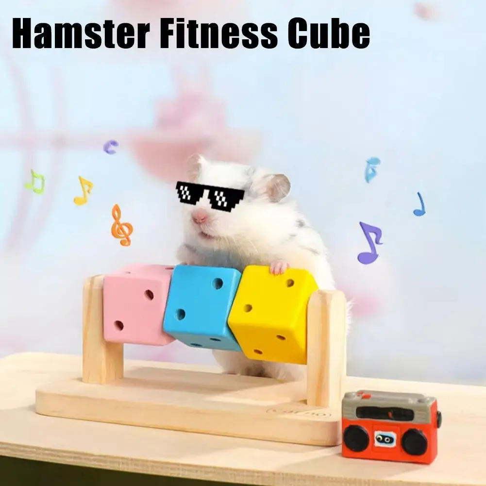 1 Uds. Cubo de Fitness para hámster, colorido, multifacético, actividad para aliviar el estrés y juguetes antidepresentes para deportes de hámster