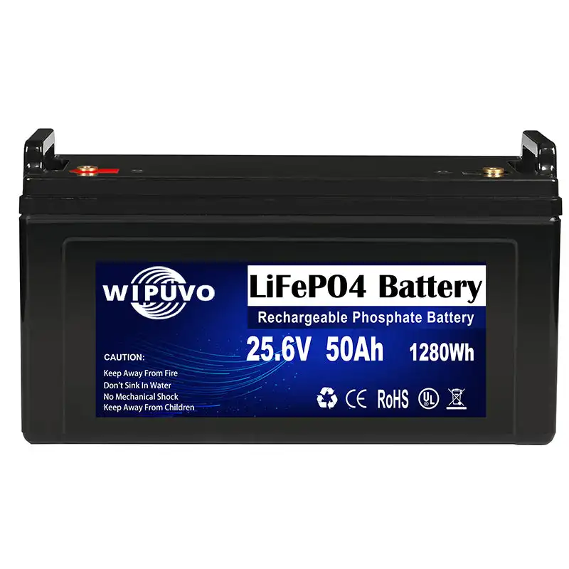 Portable LiFePO4 24V 50Ah 1280Wh With BMS 25.6V LiFePO4 Battery Pack Lithium Battery