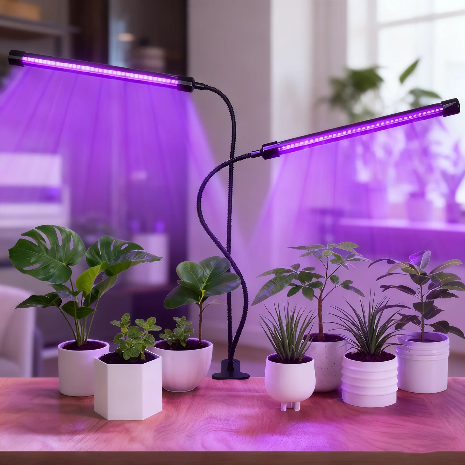 

Светильники для выращивания комнатных растений — 10 уровней с регулируемой яркостью, автоматическое включение и выключение, время 3, 9, 12 часов, идеально подходят для выращивания в помещении и запуска семян