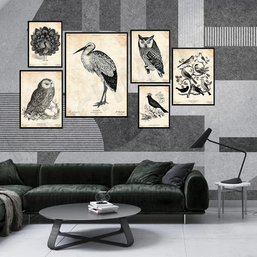 Bird print, Bird lover gift, Lodge wall art, Antique engraving, Vintage bird poster