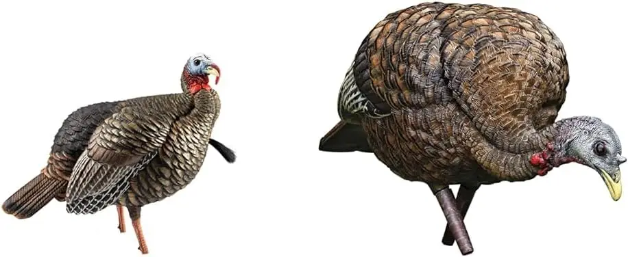 HDR Jake Turkey Decoy | Rugged Durable Realistic Lifelike Quarter-Strut Body Standing Hunting Decoy with 2 Removable Hea