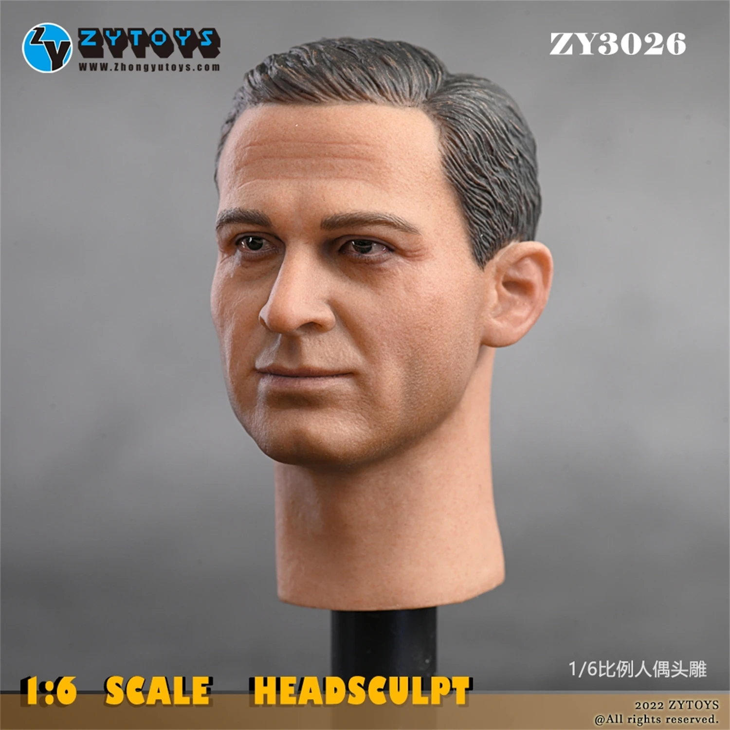 ZYTOYS 1:6 ZY3026 WWII Pilot Soldier Man Head Carved Fit for 12'' Worldbox COOMODEL Action Figure Body