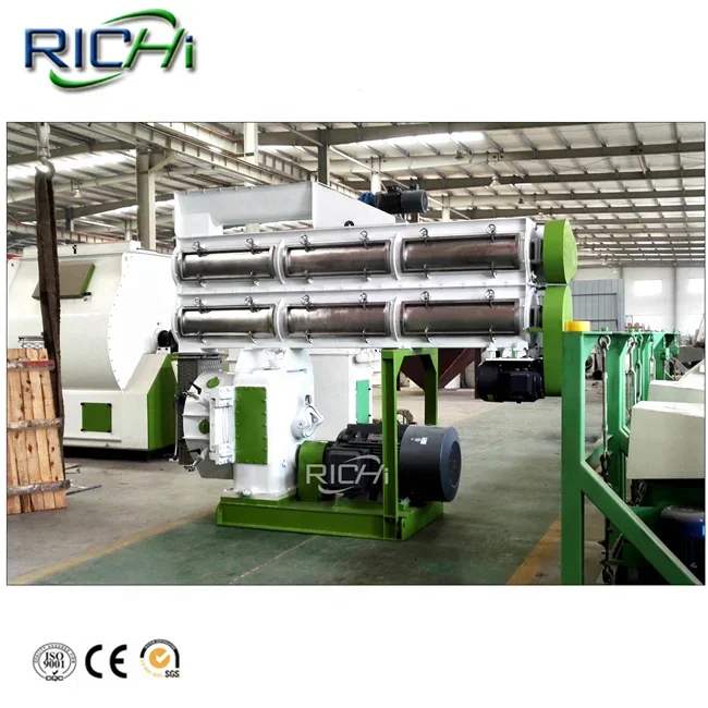 RICHI Factory- 15-20T/H Automatic Complete Animal Poultry Goat Cow Cattle Chicken Feed Processing Machinery