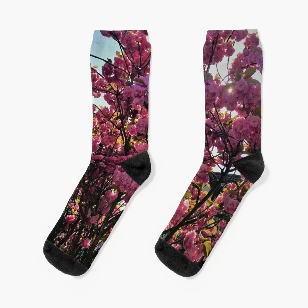 

Cherry Blossom Socks Crossfit kids Thermal man winter basketball Men Socks Luxury Brand Women's