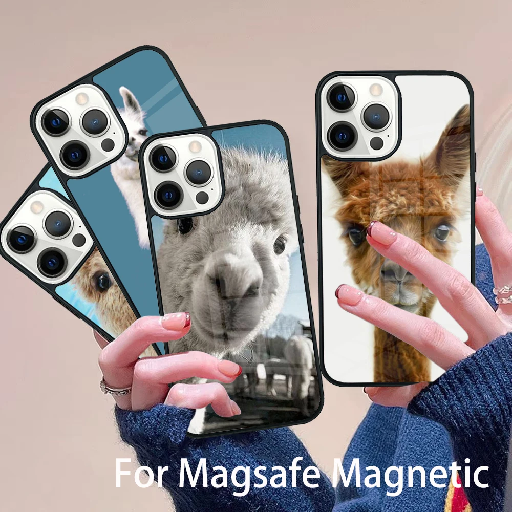 

Hipster Llama Lama Phone Case Magesafe Magnetic Wireless Charge Cover For IPhone 16 11 12 13 14 15 Pro Max Plus Mini