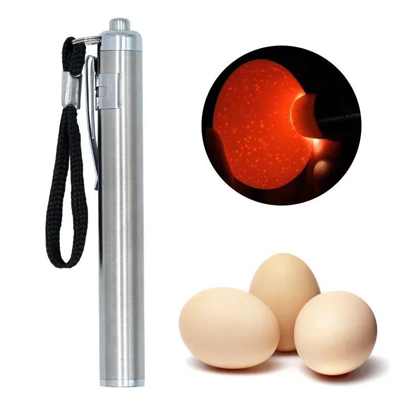 1Pcs Egg Candler Tester High Intensity Cool LED Light Candling Lamp Rechargeable for All Types Egg Broody or Incubator Monitor