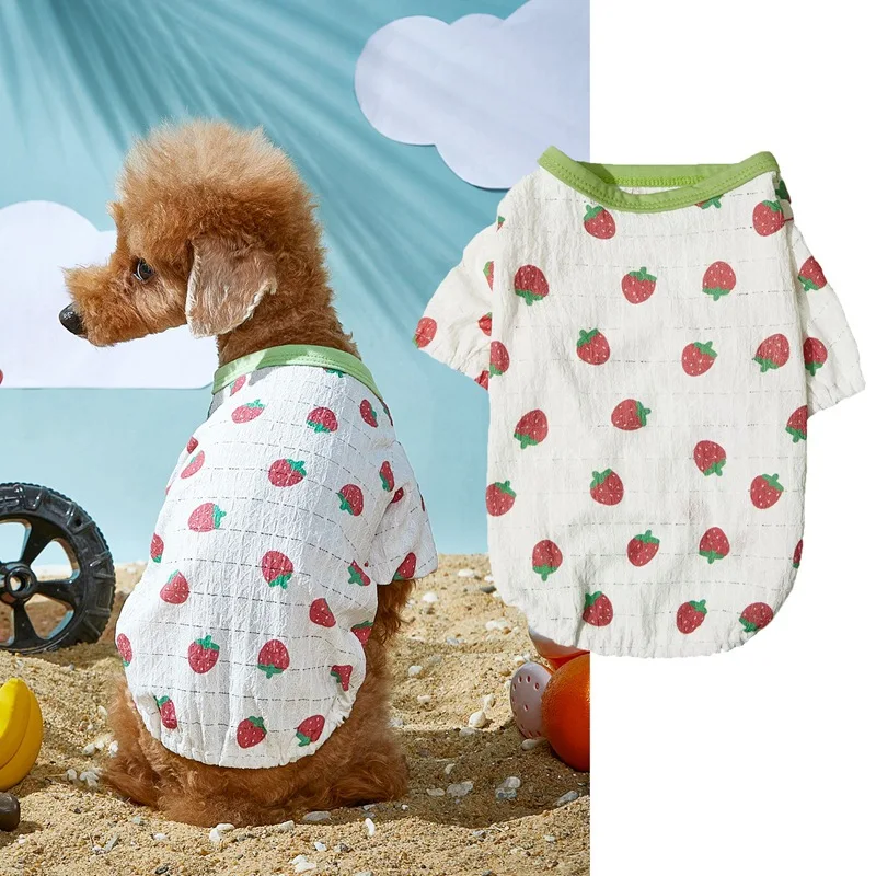 Ropa para mascotas, camiseta pequinesa de oso de peluche cómoda y transpirable de dos patas con cuello redondo verde fresa, suministros para mascotas