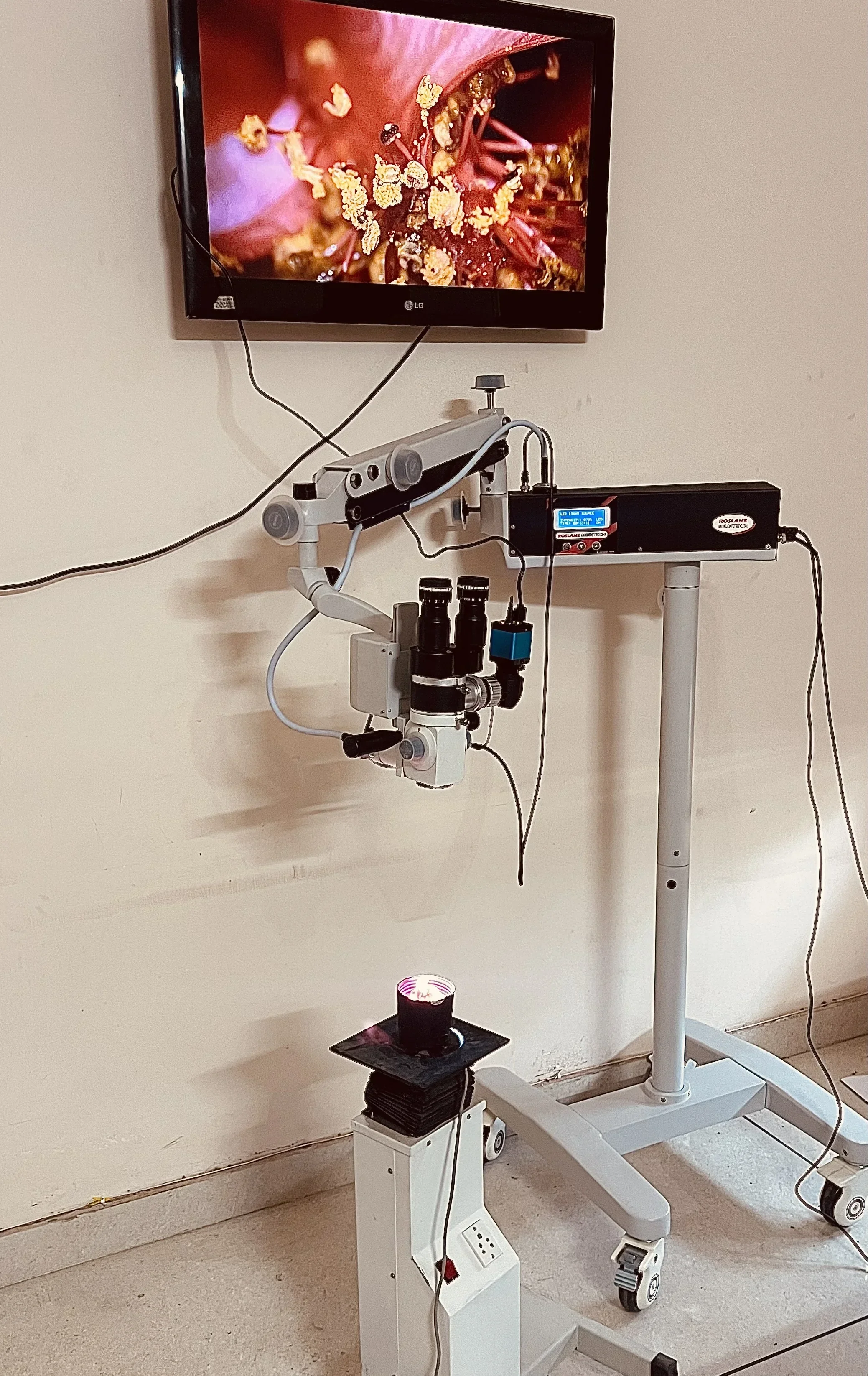India Portable Optical Surgica - Medical Lab Microscope recension och pris