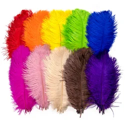 10Pcs Colored Ostrich Feathers 15-30cm for White Black Ostrich Feather Decor Centerpieces Dream Catcher Handicrafts Decoration