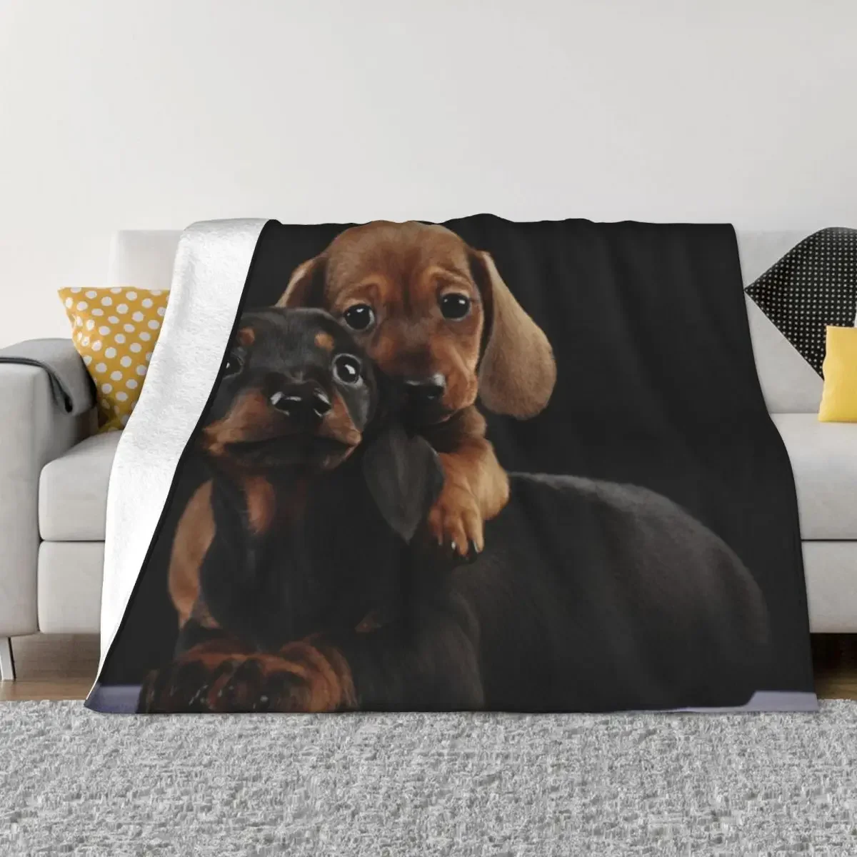 Dachshund Dog portrait photo pupies Throw Blanket cosplay anime Winter beds Luxury Designer Blankets