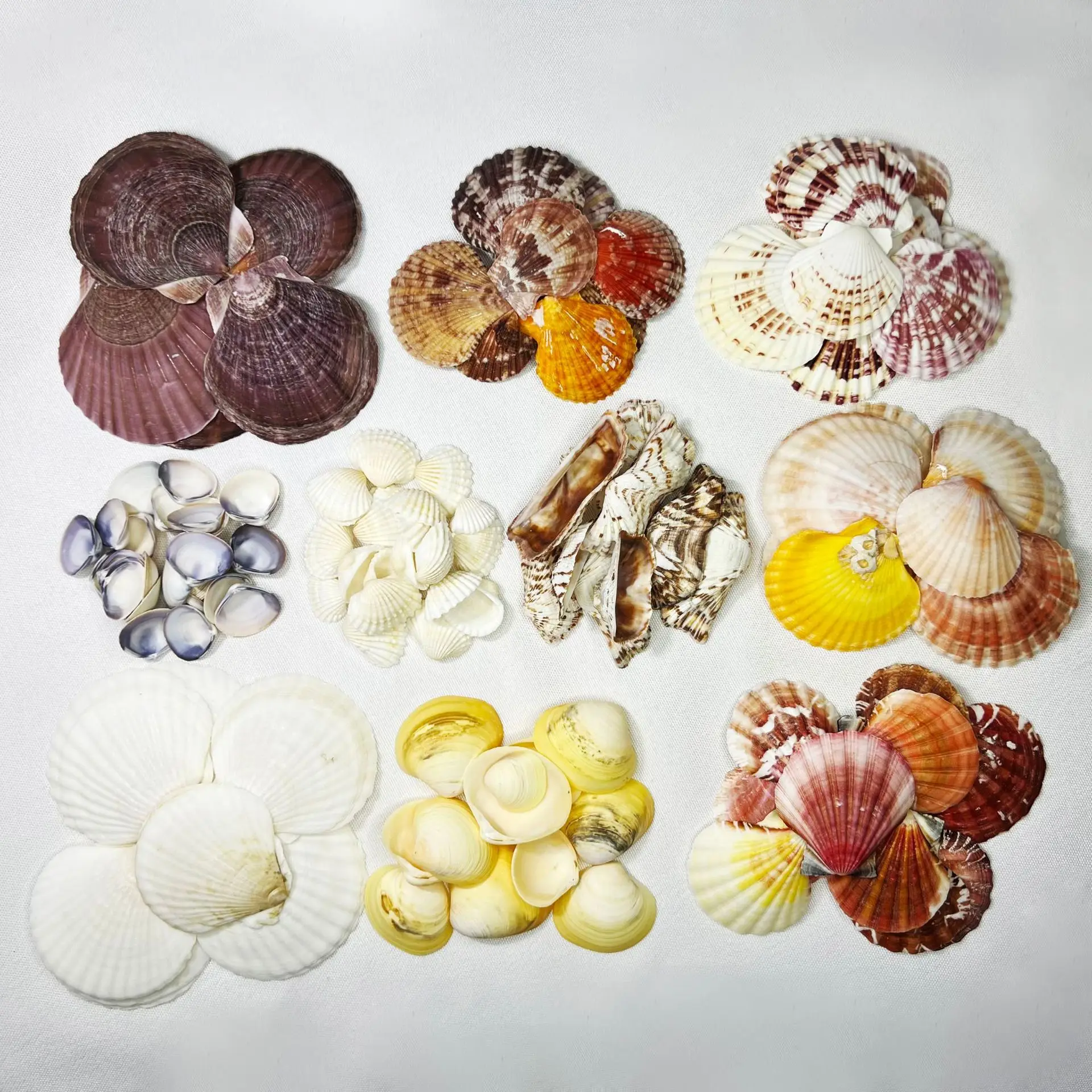 

Натуральные ракушки Морская звезда Коралл для декора аквариума своими руками