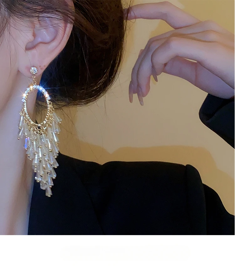 Light luxury high-end fringed niche earrings